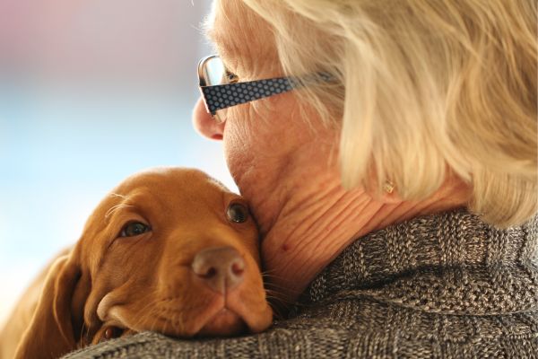 Il Legame Profondo tra Anziani e Animali Un Aiuto Inestimabile per il Benessere