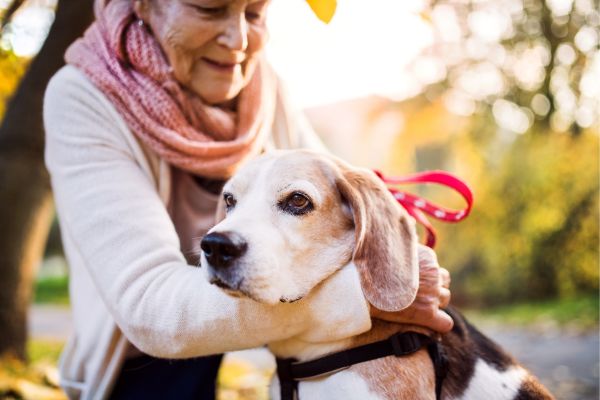 Persona con cane e gatto, scegliere l’animale da compagnia